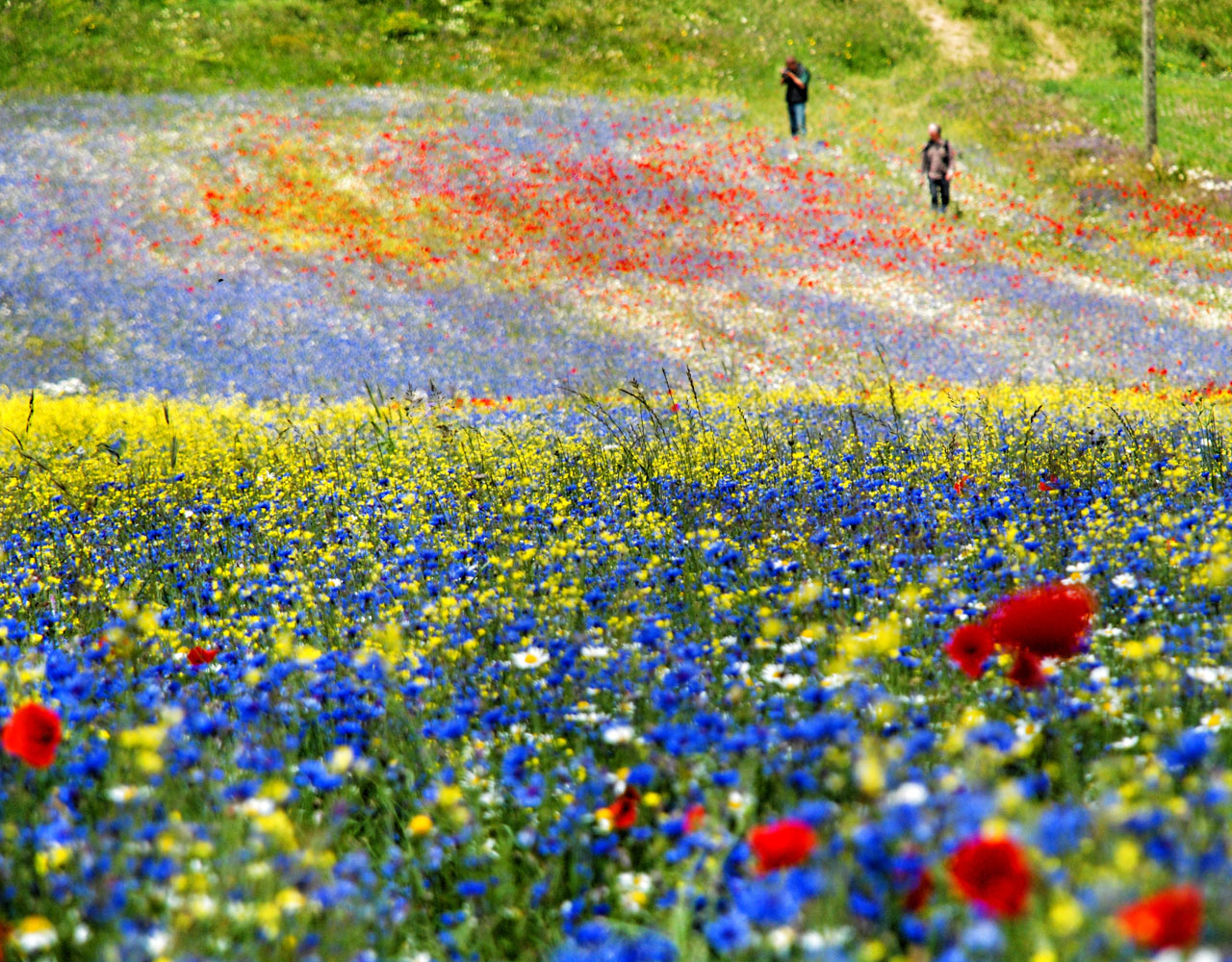 Arte Umbria